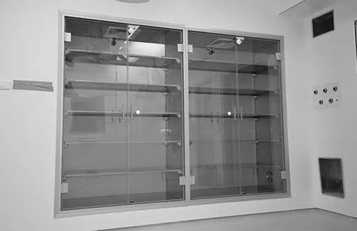 Plastic Cleanroom Storage Cabinets